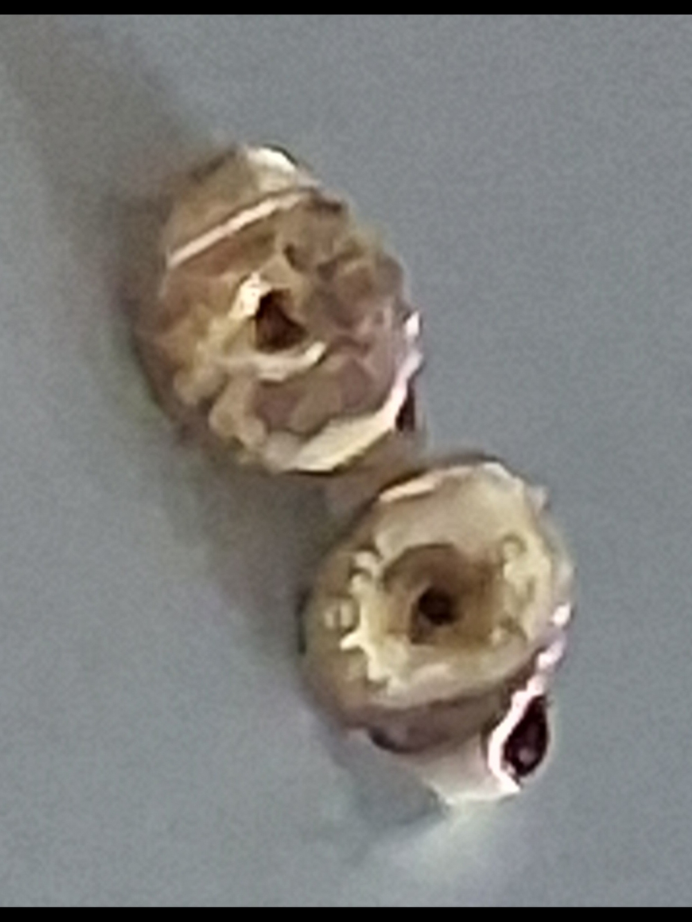 James Avery Sterling Silver Stud Earrings Rose Bud - Picture 5 of 6
